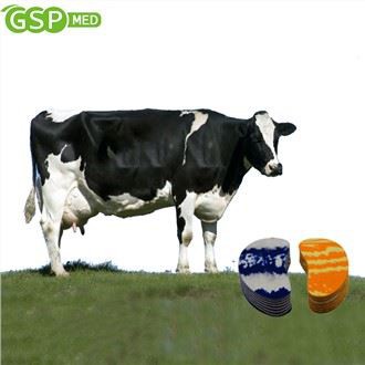 Tấm lót móng bò Walkease cho trang trại bò